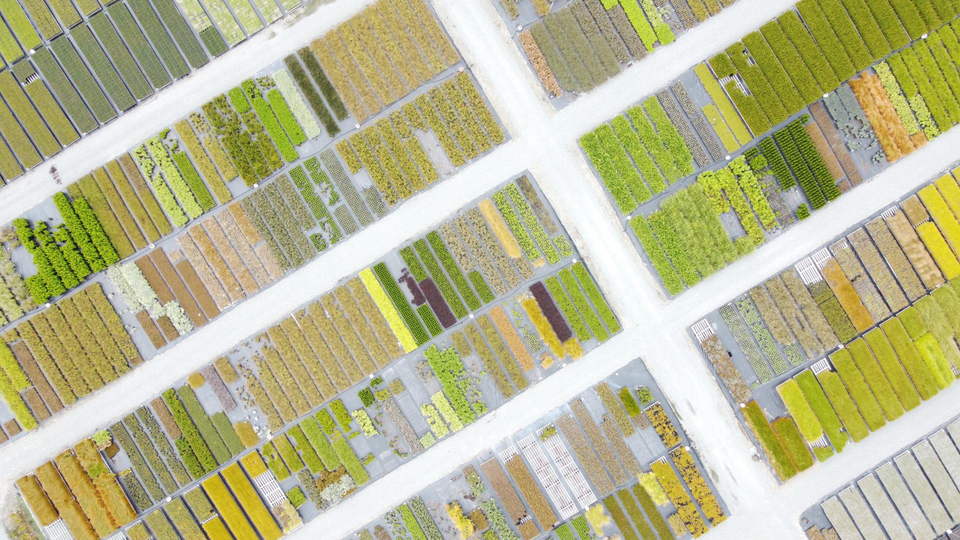 Angle drone view of greenhouse filled with plant varieties