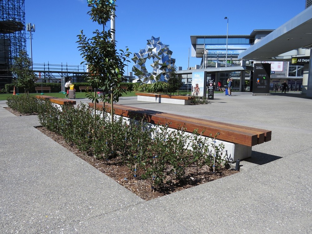 Plant bed at Christchurch International Airport