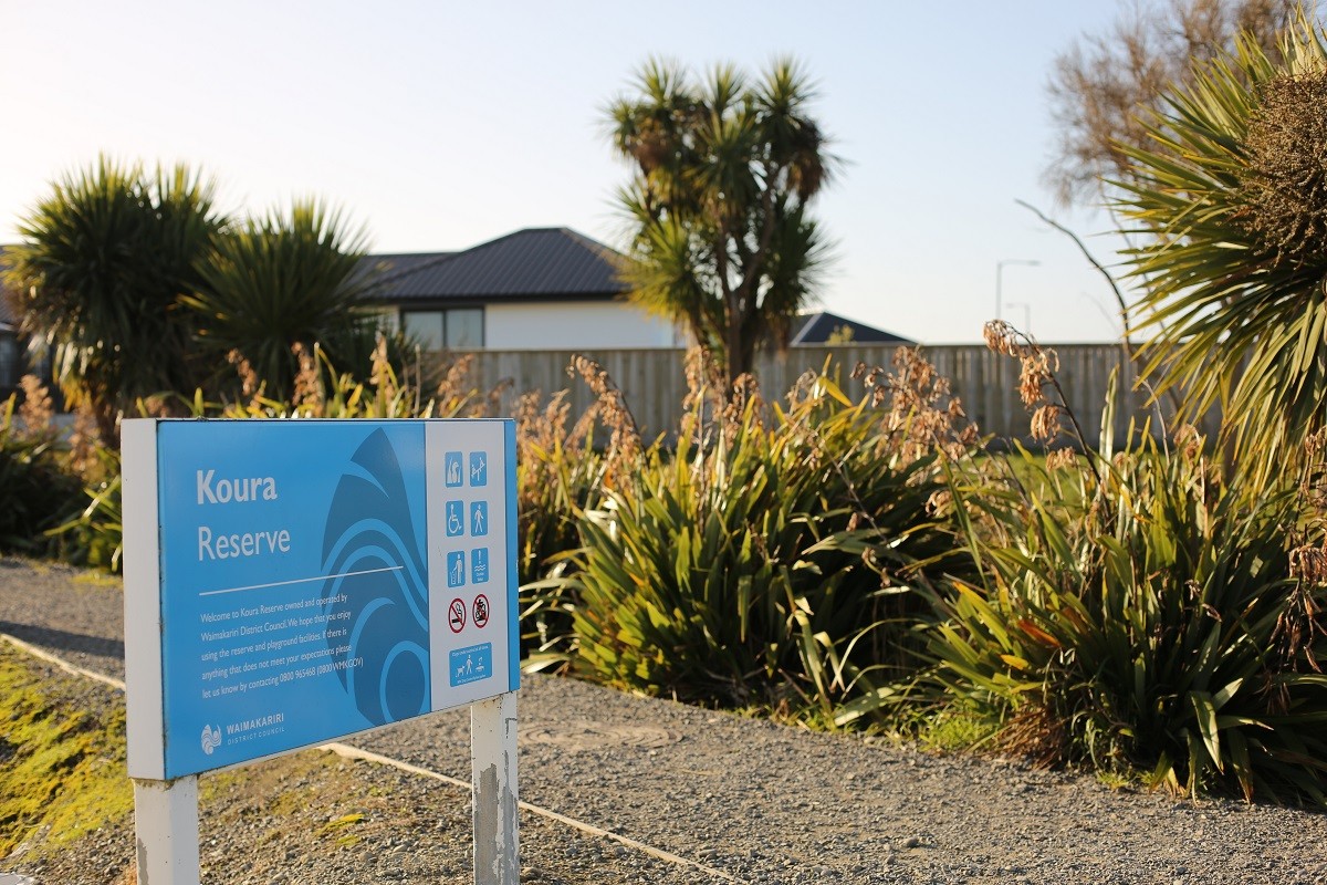 native planting by Koura Reserve