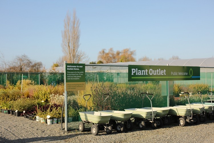 riverside horticulture plant outlet