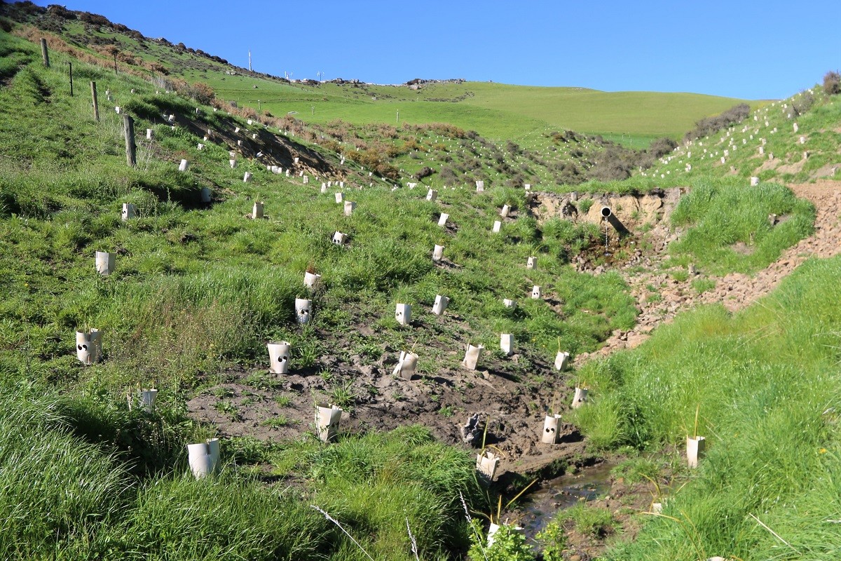 Hurunui landcare group