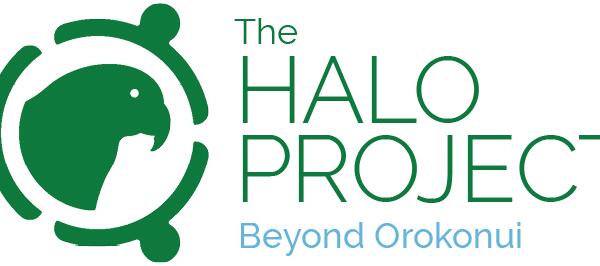 image of Halo Project